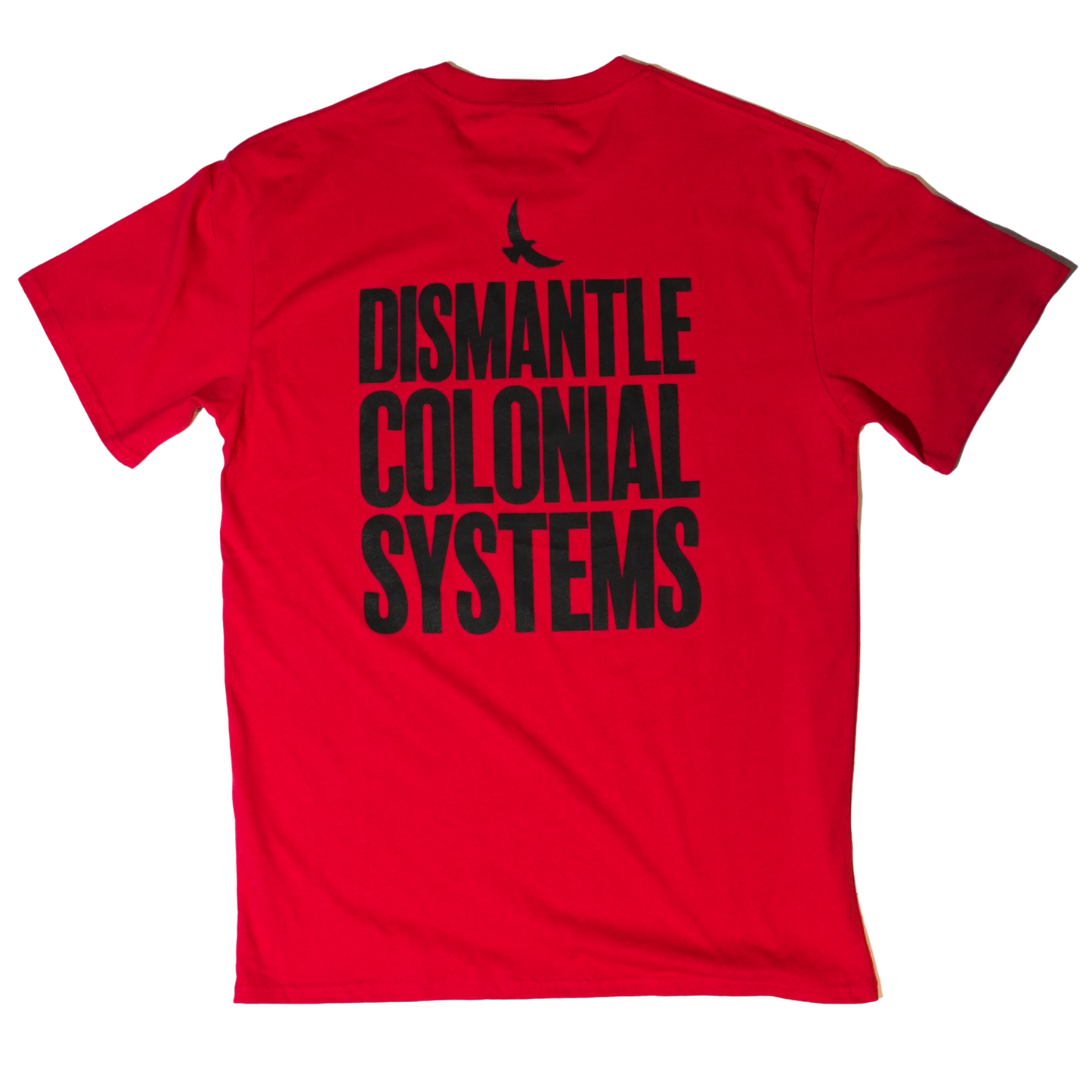 Dismantle Colonial Systems Tee
