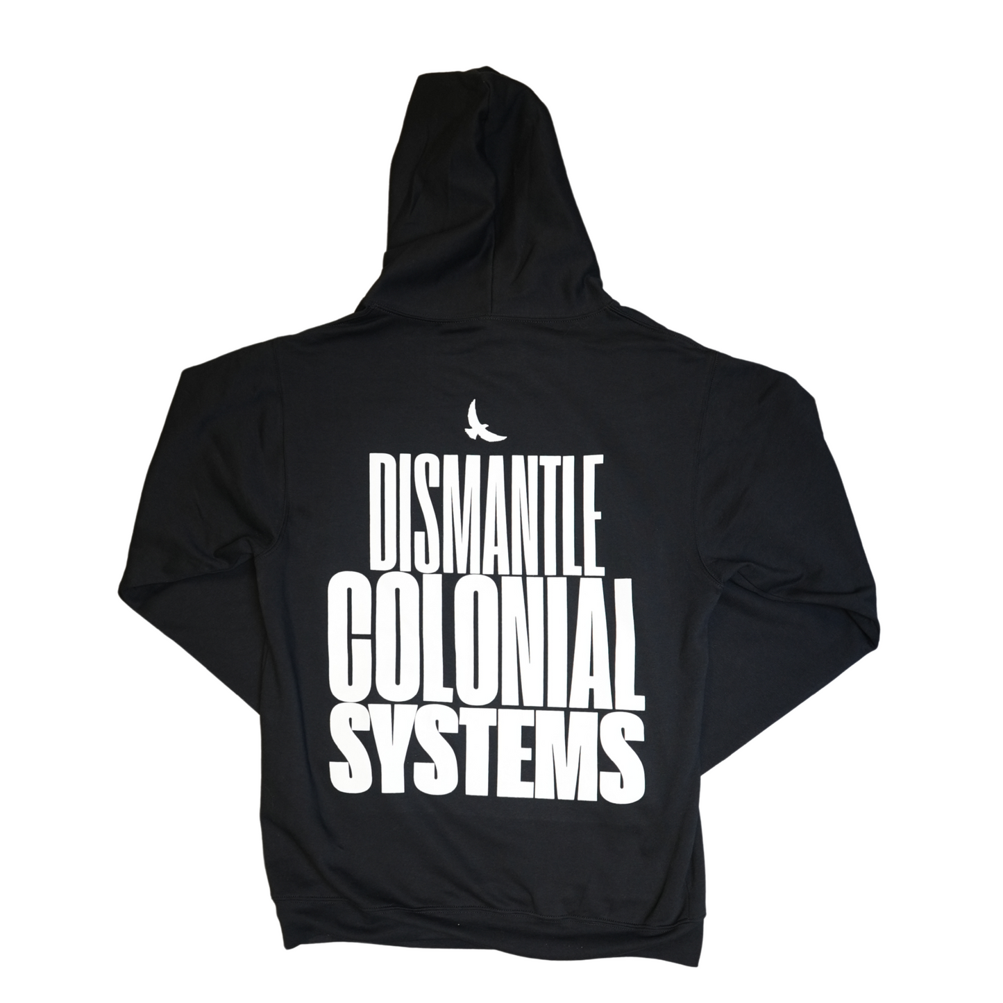 Dismantle Colonial Systems Hoodie